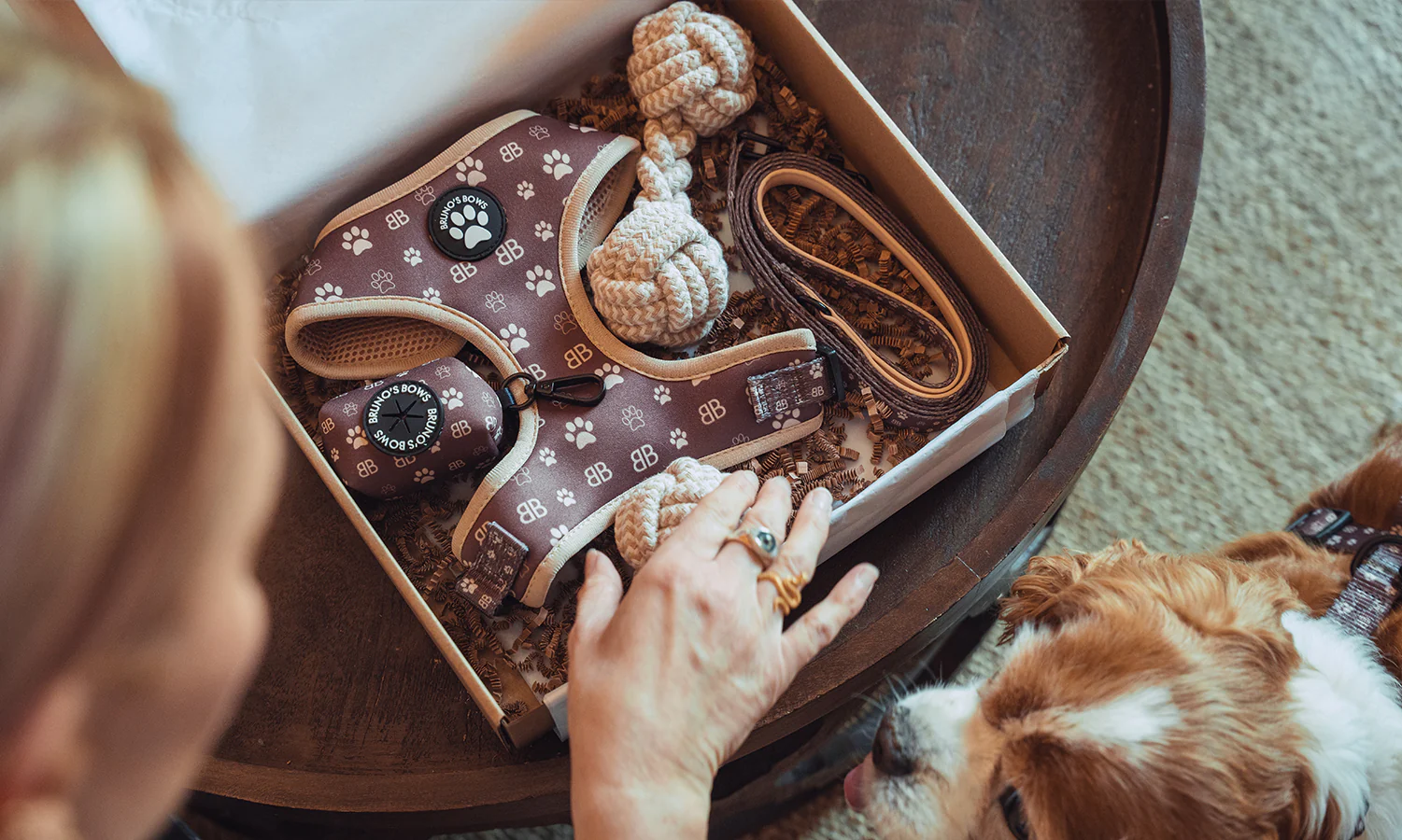 Adventure Ready, Style Refined